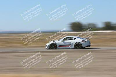 media/Oct-04-2025-OnGrid (Sat) [[44bd565ffa]]/Green Group/Grapevine/